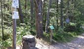 Trail Walking Hohrod - Circuit historique 1914-1918 Hohrodberg - Linge - Photo 20