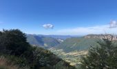 Randonnée Marche Bouvante - Tour du Plateau d’Ambel - Photo 9