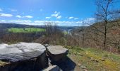 Trail Walking Comblain-au-Pont - mur géologique -03_04_2023 - Photo 12