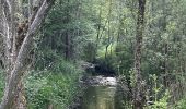 Tocht Stappen Entrelacs - Tour d’albens - Photo 1