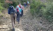 Tocht Stappen Vernègues - PF-Vernègues - Camp Caïn - Campanes - Le Grand Puech - Photo 19