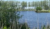 Trail Walking Sluis - Aardenburg 19 km - Photo 7