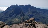 Trail Walking Saint-Paul - Grand Bénard depuis le Maïdo - Photo 2