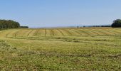 Tour Wandern Bouxières-aux-Chênes - bouxieres aux chênes - Blanzey - Photo 12