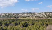 Excursión Senderismo Mouriès - Les Castellas des Baux - Photo 13