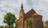 Tour Zu Fuß Märkische Heide - Rundwanderweg Groß Leuthener See - Photo 6