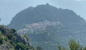 Tour Wandern Gorbio - Gorbio Ste-Agnès - Cime de Baudon - Photo 15