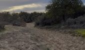 Excursión Senderismo Camiers - Baie de Canches et retour par la mer - Photo 1