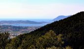 Tour Wandern La Valette-du-Var - SityTrail - Le tour du coudon - Photo 18