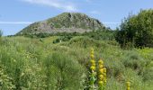 Tocht Stappen Le Béage - Le tour des cinq sucs au départ du Béage - Photo 3