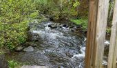 Tour Wandern Saint-Chély-d'Aubrac - Étape 3 Saint Gilhem  - Photo 4