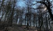 Randonnée Marche Aubange - Les étangs de Battincourt depuis Rachecourt  - Photo 17