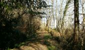Trail Walking Rontignon - RONTIGNON le chemin des crêtes  M2 fait  2644181 - Photo 6