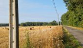 Tocht Stappen Autrèche - Autrèche - Photo 2