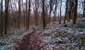 Tocht Stappen Braillans - BRAILLANS Forêt de MARCHAUX - Photo 3