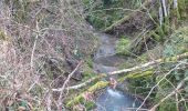 Randonnée Marche Beure - Beure de la pisseur au mercureau  - Photo 20
