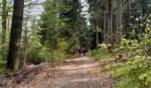 Trail Walking Gœrsdorf - 2024-04-14 GOERSDORF Liebfrauenberg - Photo 18