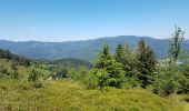 Excursión Senderismo Kirchberg - 2020-06-24 DW35 Au-dessus du lac Lachtelweiher - Photo 5