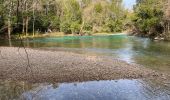 Randonnée Marche Montauroux - Gorges de la Siagne - Photo 11