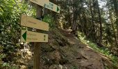 Trail Walking Chamonix-Mont-Blanc - Argentieres(aire de jeu) - Photo 4