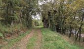 Tocht Stappen Vernou-sur-Brenne - Vernou-sur-Brenne la Coudraie - Zig Zag Vaubrault Noizay - 27.1km 385m 5h55 (55mn) - 2024 11 03 - Photo 6