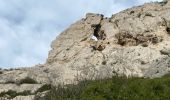 Trail Walking Marseille - Grotte de l’os Sormiou  - Photo 3