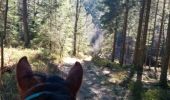 Trail Horseback riding Manhay - oster samré chloro oster - Photo 8