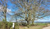 Tour Wandern Hohenfels - Cetturu 060224 - Photo 2