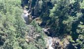 Randonnée Marche Chauchailles - Gorges du Bèz sentier des espagnols - Photo 5