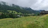 Randonnée Marche La Clusaz - Les Converses, Les Étages, Crêt du Merle, Les Tollets, Les Converses  - Photo 2