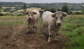 Trail Walking Val-de-Vie - Ste  Foy de Montgommery - Photo 9