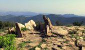 Randonnée Marche Les Arcs-sur-Argens - L'Apié de Raybaud - Oppidum -  Foret des Terriers - Menhirs - Dolmens - Four à Pois - Photo 12