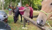 Tour Reiten Ban-sur-Meurthe-Clefcy - Fraize col bonhomme Tivio chez Delphine  - Photo 9