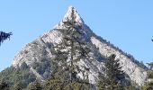 Tour Wandern Bellecombe-en-Bauges - montagne du charbon : montée par la piste Reposoir. col de bornette . refuge de la combe / retour même itinéraire sauf par les champs et bois depuis bornette  - Photo 1