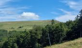 Tour Wandern Stoßweier - Le col de la Schlucht lac de la Lande - Photo 7