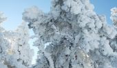 Tour Schneeschuhwandern Saint-Agnan-en-Vercors - Beure - Écondus - Photo 14