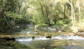 Trail On foot Valbonne - Circuit de Font Martine - Photo 6