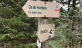 Trail Walking Laveissière - Trek GR400 Cantal  - Photo 1