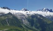 Tour Wandern Chamonix-Mont-Blanc - Aiguille de Posettes et Tête de Balme - Photo 8