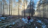 Tocht Stappen Profondeville - La promenade du bois de Nimes à Lustin - Profondeville - Photo 17