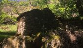 Trail Walking Rosis - Le sommet du Plo des Brus dans l'Espinouse - Photo 19