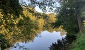 Tocht Stappen Domjean - Rando gorge de la Vire  - Photo 9