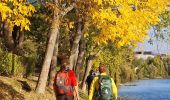 Percorso A piedi Champigny-sur-Marne - Sur les bords de Marne - Photo 3