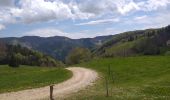 Tour Wandern Bellecombe - crêt chalam borne au lion - Photo 10