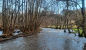 Trail Walking Libin - laisse la lesse  - Photo 16