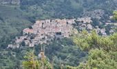 Trail Walking Coursegoules - coursegoules st barnabé  - Photo 2