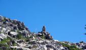 Excursión Senderismo Châtillon-en-Diois - Cirque d'Archiane - Les Hauts Plateaux du Vercors - Photo 19