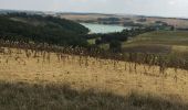 Trail Walking Belflou - Château de Belflou  - Photo 1