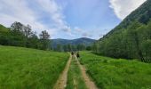 Trail Walking Metzeral - Sentier historique - Mittlach - Fischboedle - Photo 5