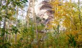 Tour Zu Fuß Dimbach - Dimbacher Buntsandstein-Höhenweg - Photo 4